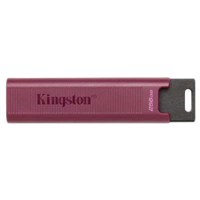 KINGSTON DataTraveler MAX 256GB USB 3.2 gen2 Type-A 1000MB/s (DTMAXA/256GB) USB ključ