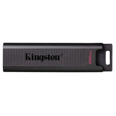 KINGSTON DataTraveler MAX 256GB USB 3.2 gen2 Type-C 1000MB/s (DTMAXA/256GB) USB ključ 