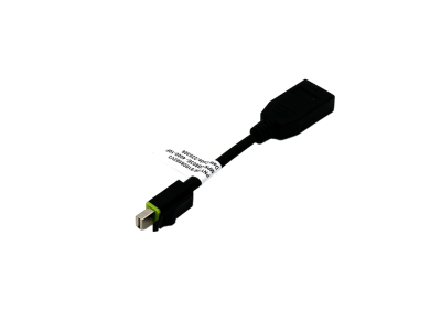 Adapter Mini DisplayPort v DisplayPort, z zaklepom, 0.1m, PNY