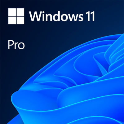 Windows 11 Professional 64Bit Angleški DSP OEI DVD licenca