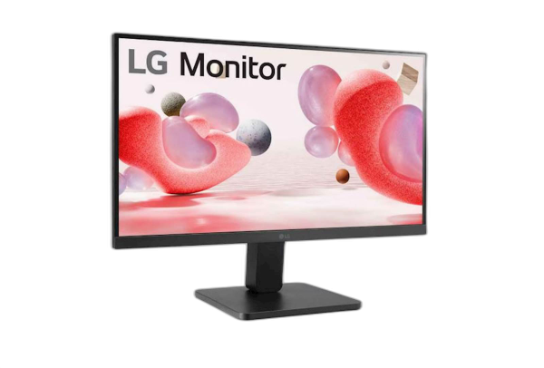 Monitor LG 22