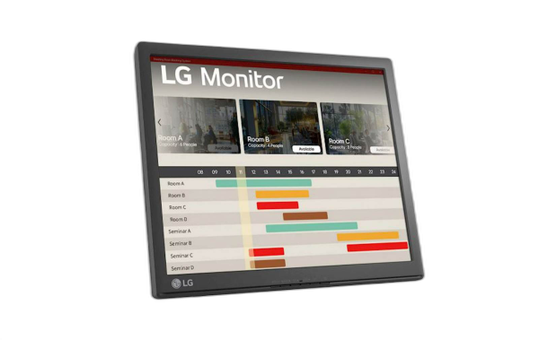 Monitor LG 17