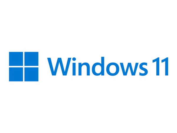 MS DSP Win 11 Home 64Bit DVD OEM (SL)